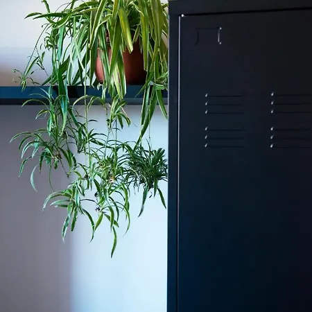 Myway Rdr Apartment-3